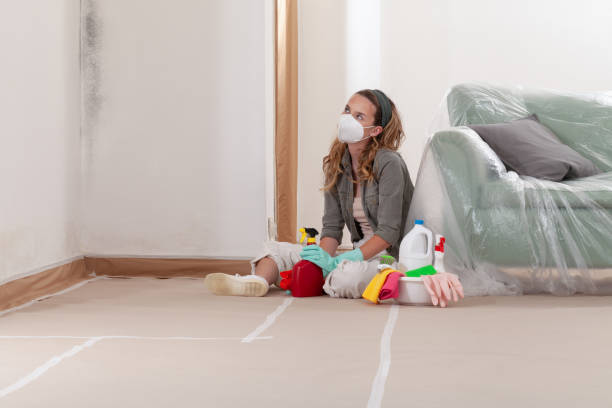 Reliable Crawl Space Mold Removal contractor in Quincy, WA by WQB Mold Removal